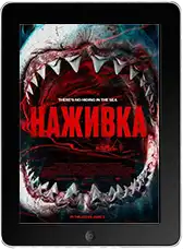 Наживка Наживка